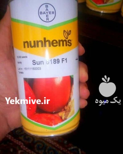 فروش بذر گوجه فرنگی سانسید 6189 در اهواز در گروه خرید فروش عمده گوجه فرنگی - فرنگی سبز قرمز سیاه کبابی ربی در یکمیوه -عکس2