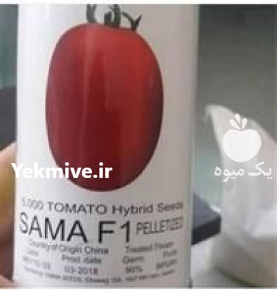 فروش بذر گوجه فرنگی سماء در تهران در گروه خرید فروش عمده گوجه فرنگی - فرنگی سبز قرمز سیاه کبابی ربی در یکمیوه -عکس1