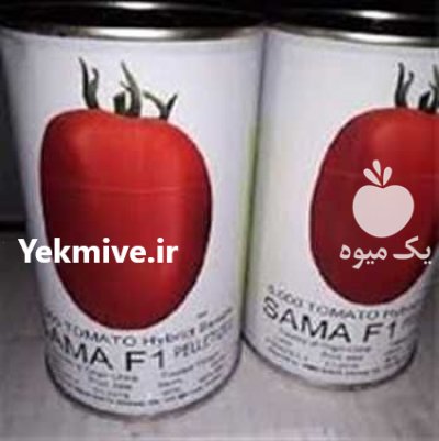 فروش بذر گوجه فرنگی سماء در تهران در گروه خرید فروش عمده گوجه فرنگی - فرنگی سبز قرمز سیاه کبابی ربی در یکمیوه -عکس3