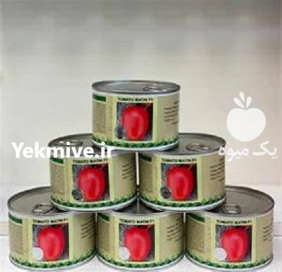 فروش بذر گوجه فرنگی گلسار در خرم آباد در گروه خرید فروش عمده گوجه فرنگی - فرنگی سبز قرمز سیاه کبابی ربی در یکمیوه -عکس1