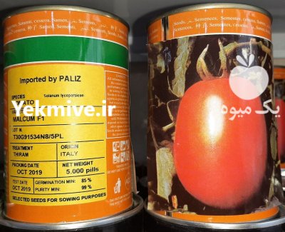 فروش بذر گوجه فرنگی مالکوم در شیراز در گروه خرید فروش عمده گوجه فرنگی - فرنگی سبز قرمز سیاه کبابی ربی در یکمیوه -عکس2