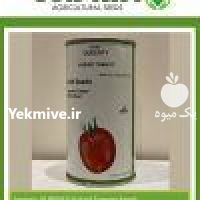 فروش بذر گوجه فرنگی کوینتی در آبادان در گروه خرید فروش عمده گوجه فرنگی - فرنگی سبز قرمز سیاه کبابی ربی در یکمیوه -عکس1