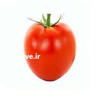 فروش بذر گوجه فرنگی کوینتی در آبادان در گروه خرید فروش عمده گوجه فرنگی - فرنگی سبز قرمز سیاه کبابی ربی در یکمیوه -عکس2