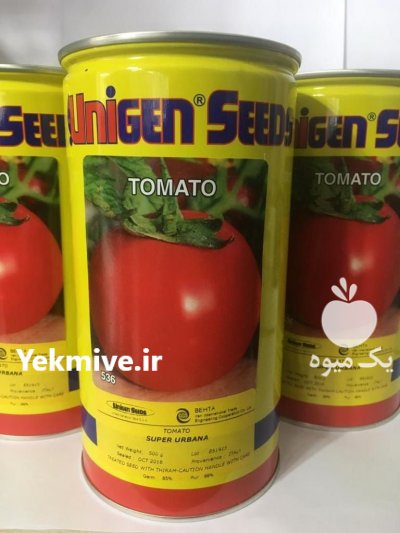 فروش بذر گوجه فرنگی یونی ژن در تهران در گروه خرید فروش عمده گوجه فرنگی - فرنگی سبز قرمز سیاه کبابی ربی در یکمیوه -عکس1