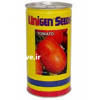 فروش بذر گوجه فرنگی یونی ژن در تهران در گروه خرید فروش عمده گوجه فرنگی - فرنگی سبز قرمز سیاه کبابی ربی در یکمیوه -عکس2