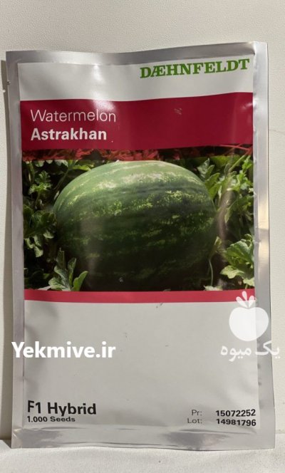 فروش بذر گوجه فرنگی آستاراخان در اصفهان در گروه خرید فروش عمده هندوانه - صادراتی گرد بیضی زرد قرمز در یکمیوه -عکس1