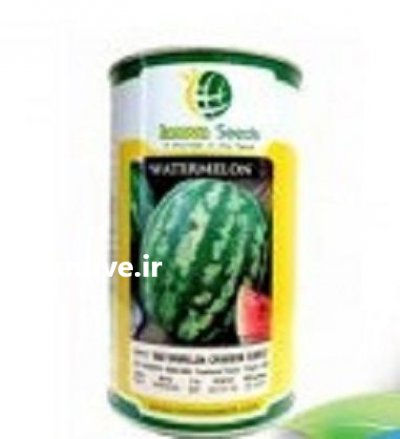 فروش بذر هندوانه استارپلاس در تهران در گروه خرید فروش عمده هندوانه - صادراتی گرد بیضی زرد قرمز در یکمیوه -عکس2