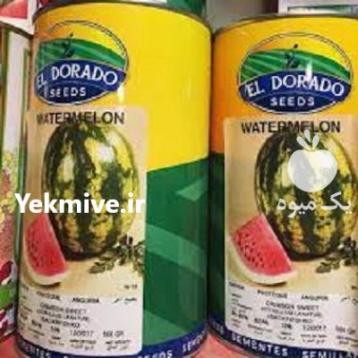 فروش بذر هندوانه الدورادو در شیراز در گروه خرید فروش عمده هندوانه - صادراتی گرد بیضی زرد قرمز در یکمیوه -عکس2