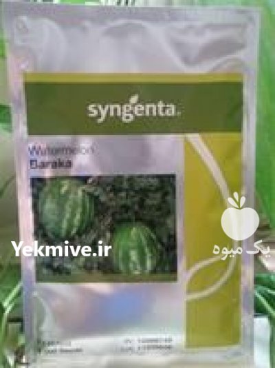 فروش بذر هندوانه باراکا در زنجان در گروه خرید فروش عمده هندوانه - صادراتی گرد بیضی زرد قرمز در یکمیوه -عکس2