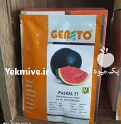 فروش بذر هندوانه پاسکال در گرگان در گروه خرید فروش عمده هندوانه - صادراتی گرد بیضی زرد قرمز در یکمیوه -عکس2