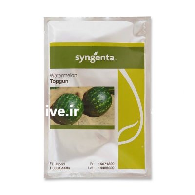 فروش بذر هندوانه کریمسون سوئیت در کرمان  در گروه خرید فروش عمده هندوانه - صادراتی گرد بیضی زرد قرمز در یکمیوه -عکس2