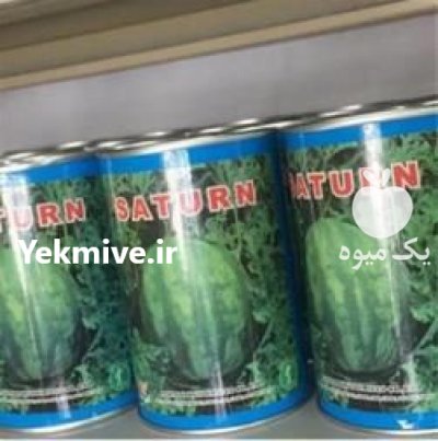 فروش بذر هندوانه ساتر میکادو در زنجان در گروه خرید فروش عمده هندوانه - صادراتی گرد بیضی زرد قرمز در یکمیوه -عکس2
