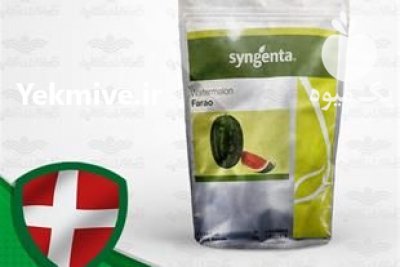 فروش بذر هندوانه فارائو در گرگان در گروه خرید فروش عمده هندوانه - صادراتی گرد بیضی زرد قرمز در یکمیوه -عکس2