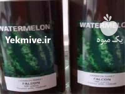 فروش بذر هندوانه فالکون در قزوین در گروه خرید فروش عمده هندوانه - صادراتی گرد بیضی زرد قرمز در یکمیوه -عکس2