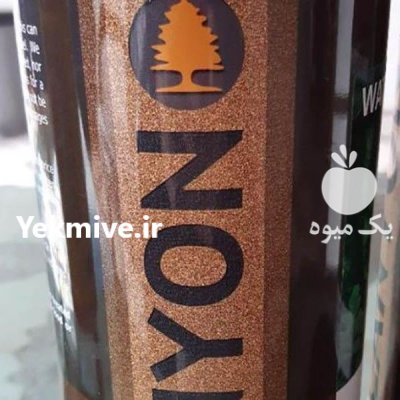 فروش بذر هندوانه کانیون در تبریز در گروه خرید فروش عمده هندوانه - صادراتی گرد بیضی زرد قرمز در یکمیوه -عکس1