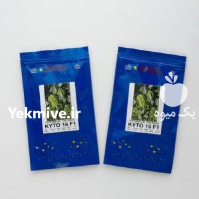 فروش بذر هندوانه کیتو 16 در بیرجند در گروه خرید فروش عمده هندوانه - صادراتی گرد بیضی زرد قرمز در یکمیوه -عکس1