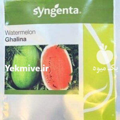 فروش بذر هندوانه گالینا در ارومیه در گروه خرید فروش عمده هندوانه - صادراتی گرد بیضی زرد قرمز در یکمیوه -عکس1