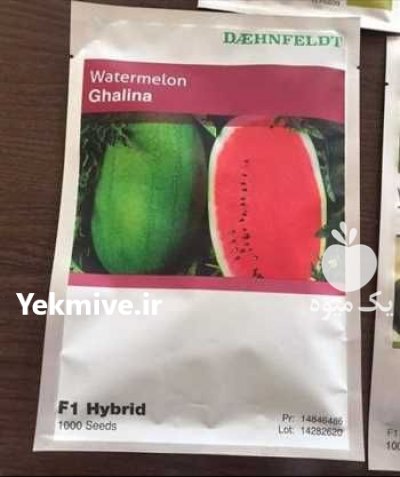 فروش بذر هندوانه گالینا در ارومیه در گروه خرید فروش عمده هندوانه - صادراتی گرد بیضی زرد قرمز در یکمیوه -عکس2