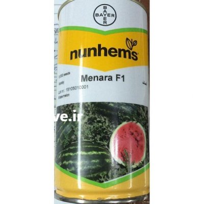 فروش بذر هندوانه منارا در لاهیجان در گروه خرید فروش عمده هندوانه - صادراتی گرد بیضی زرد قرمز در یکمیوه -عکس1