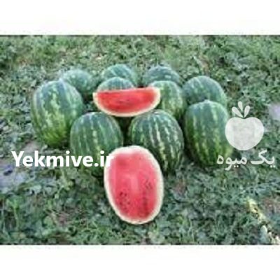 فروش بذر هندوانه منارا در لاهیجان در گروه خرید فروش عمده هندوانه - صادراتی گرد بیضی زرد قرمز در یکمیوه -عکس2