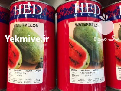 فروش بذر هندوانه هد در گرگان در گروه خرید فروش عمده هندوانه - صادراتی گرد بیضی زرد قرمز در یکمیوه -عکس2