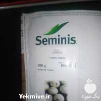 فروش بذر پیاز سایروس با کیفیت در بوشهر در گروه خرید فروش عمده پیاز - قرمز سفید زرد ترشی تازه انباری در یکمیوه