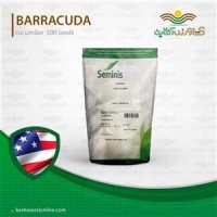 فروش بذر خیار باراکوادا در کرج در گروه خرید فروش عمده خیار - بوته درختی سبز مجلسی شوری خاردار چنبر اصفهان در یکمیوه