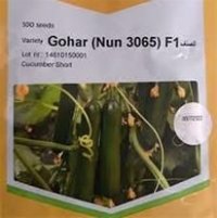 فروش بذر خیار گوهر در قزوین در گروه خرید فروش عمده خیار - بوته درختی سبز مجلسی شوری خاردار چنبر اصفهان در یکمیوه