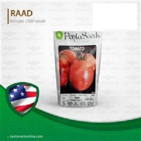 فروش بذر گوجه فرنگی رعد در ساری در گروه خرید فروش عمده گوجه فرنگی - فرنگی سبز قرمز سیاه کبابی ربی در یکمیوه