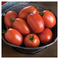 فروش بذر گوجه فرنگی سوپر کریستال در ایلام در گروه خرید فروش عمده گوجه فرنگی - فرنگی سبز قرمز سیاه کبابی ربی در یکمیوه