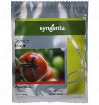 فروش بذر گوجه فرنگی ازمیر در تبریز در گروه خرید فروش عمده گوجه فرنگی - فرنگی سبز قرمز سیاه کبابی ربی در یکمیوه