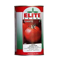 فروش بذر گوجه فرنگی الیت در تهران در گروه خرید فروش عمده گوجه فرنگی - فرنگی سبز قرمز سیاه کبابی ربی در یکمیوه