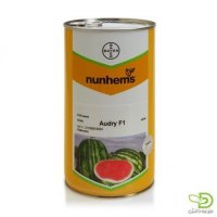 بذر هندوانه اودری باسف آلمان در بندرگناوه در گروه خرید فروش عمده هندوانه - صادراتی گرد بیضی زرد قرمز در یکمیوه