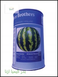 فروش بذر هندوانه بیکر در سمنان در گروه خرید فروش عمده هندوانه - صادراتی گرد بیضی زرد قرمز در یکمیوه