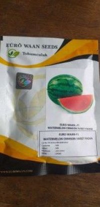 فروش بذر هندوانه پاسکال در گرگان در گروه خرید فروش عمده هندوانه - صادراتی گرد بیضی زرد قرمز در یکمیوه