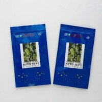 فروش بذر هندوانه کیتو 16 در بیرجند در گروه خرید فروش عمده هندوانه - صادراتی گرد بیضی زرد قرمز در یکمیوه