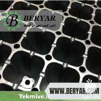 تولید و فروش سینی نشا در کرج در گروه خرید فروش نشا - انواع گوجه برنج کاهو پیاز کاری فرنگی در یکمیوه