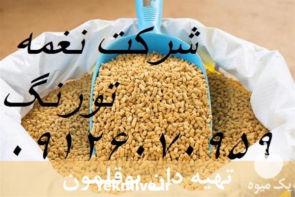 فروش دان بوقلمون و شترمرغ در تهران در گروه مرغ و خروس و بوقلمون و اردک قو قاز در یکمیوه -عکس1