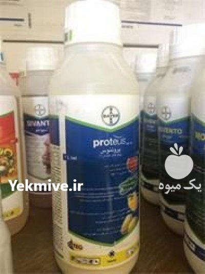 فروش سم پروتئوس بایر در زنجان در گروه خرید فروش کود و مواد شیمیایی - اوره پتاس مرغی کمپوست آهن در یکمیوه -عکس1