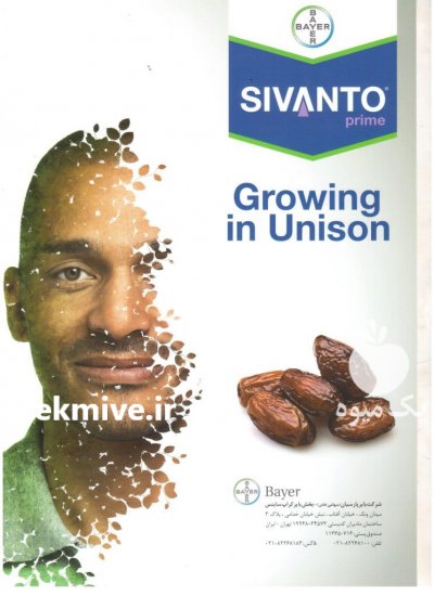 فروش سم سیوانتو بایر در گرگان در گروه خرید فروش کود و مواد شیمیایی - اوره پتاس مرغی کمپوست آهن در یکمیوه -عکس1