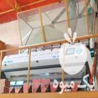 فروش سورتینگ بادام زمینی در آستانه اشرفیه در گروه بادام - درختی کوهی زمینی فروش عمده در یکمیوه