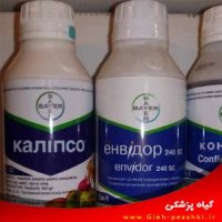 فروش سم کالیپسو بایر در ساری در گروه خرید فروش کود و مواد شیمیایی - اوره پتاس مرغی کمپوست آهن در یکمیوه