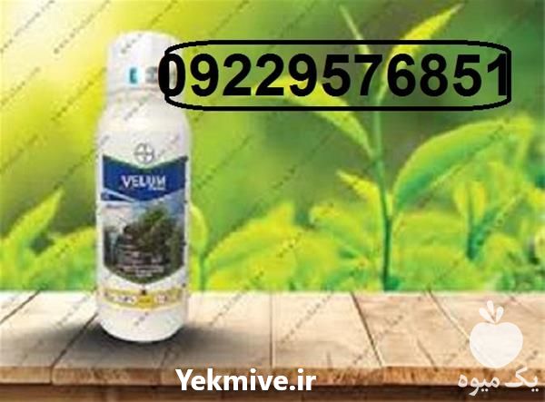 فروش نماتد کش ولوم در قزوین در گروه خرید فروش کود و مواد شیمیایی - اوره پتاس مرغی کمپوست آهن در یکمیوه -عکس1