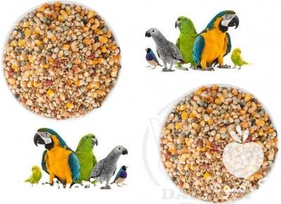 فروش خوراک پرندگان زینتی در تهران در گروه انواع پرنده - زینتی عروس هما مینا طوطی مرغ عشق در یکمیوه -عکس1