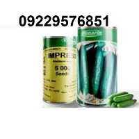 فروش بذر خیار ویلمورین در تهران در گروه خرید فروش بذر - انواع محصول کشاورزی گوجه کتان میوه درخت در یکمیوه