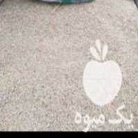 فروش جو آبی جلگه در توره در گروه خرید فروش عمده گندم و جو - بلغور شیرازی فروش عمده محصول کشاورزی در یکمیوه