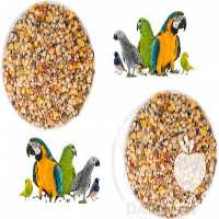 فروش خوراک پرندگان زینتی در تهران در گروه انواع پرنده - زینتی عروس هما مینا طوطی مرغ عشق در یکمیوه