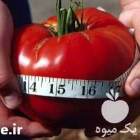 فروش انواع کود ارگانیک و ترکیبی در تهران در گروه خرید فروش کود و مواد شیمیایی - اوره پتاس مرغی کمپوست آهن در یکمیوه