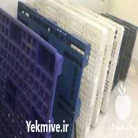 تولید و فروش باکس پالت پلاستیکی در تهران در گروه خرید فروش انواع سبد - میوه پلاستیکی چوبی گل در یکمیوه