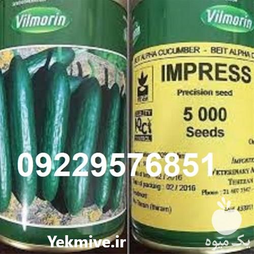 قیمت بذر خیار ویلمورین با کیفیت در تهران در گروه خرید فروش عمده خیار - بوته درختی سبز مجلسی شوری خاردار چنبر اصفهان در یکمیوه -عکس1